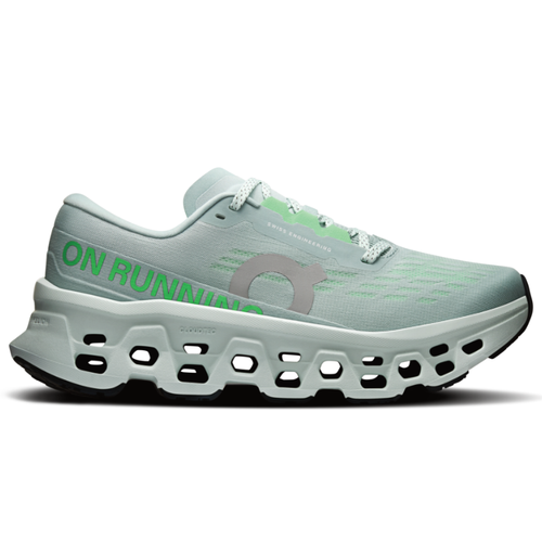Women's On Cloudmonster 3 - Brook/Flurry