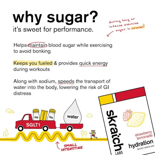 Skratch Labs Hydration Sport Drink Mix - Strawberry Lemonade
