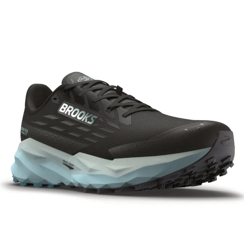 Women's Brooks Cascadia 19 GTX - Black/Ebony/Blue Flower