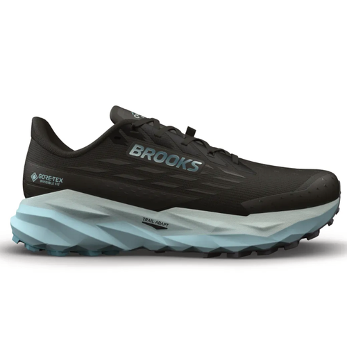 Women's Brooks Cascadia 19 GTX - Black/Ebony/Blue Flower