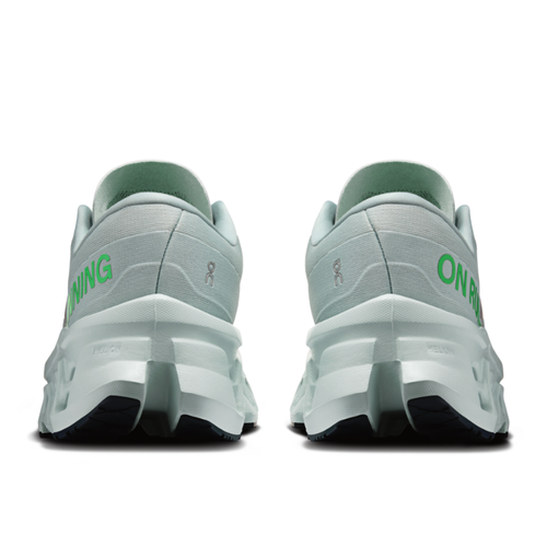 Women's On Cloudmonster 3 - Brook/Flurry