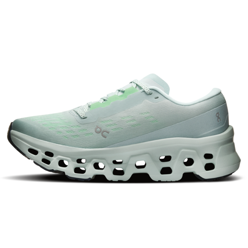 Women's On Cloudmonster 3 - Brook/Flurry