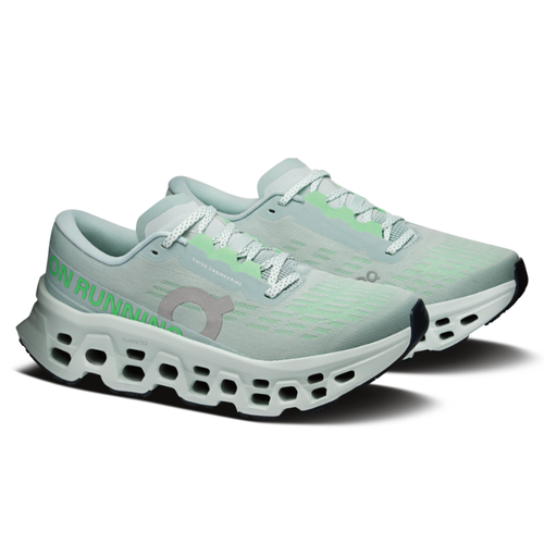 Women's On Cloudmonster 3 - Brook/Flurry